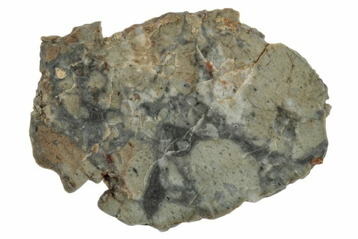 Lunar Meteorite Slice ( g) - NWA #346555